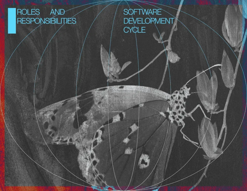 Roles and Responsibilities in the Software Development Cycle