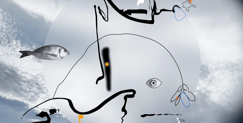 Parts of the Website : Overview