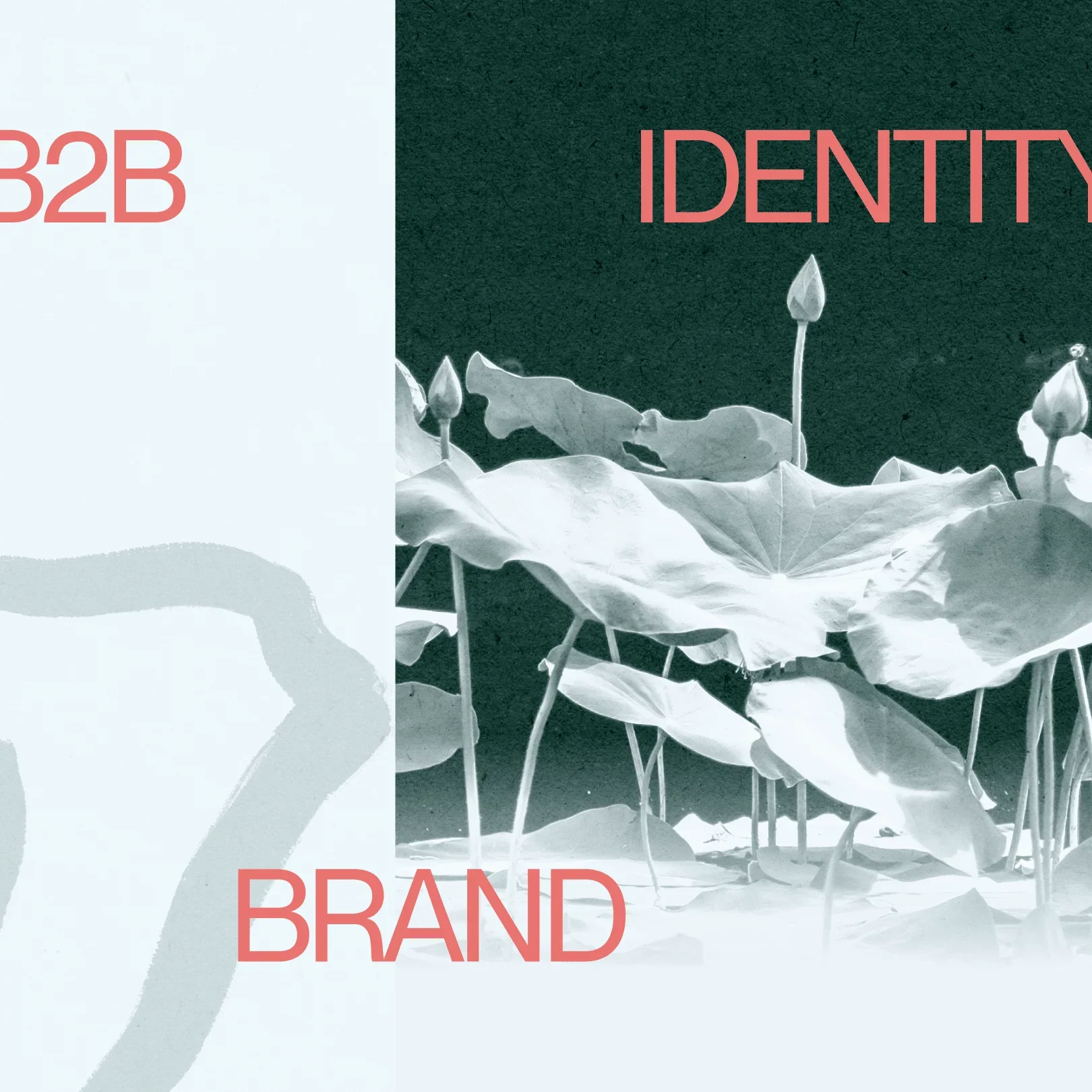 B2B Brand Identity